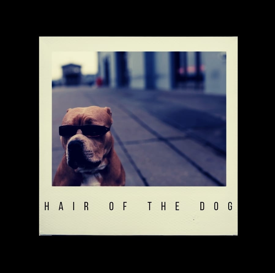 Hair Of The Dog Band